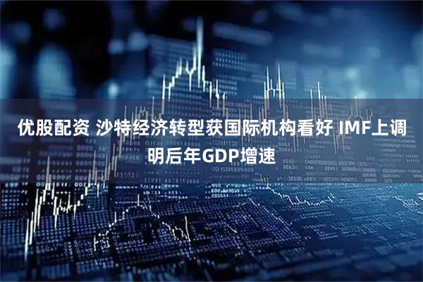 优股配资 沙特经济转型获国际机构看好 IMF上调明后年GDP增速